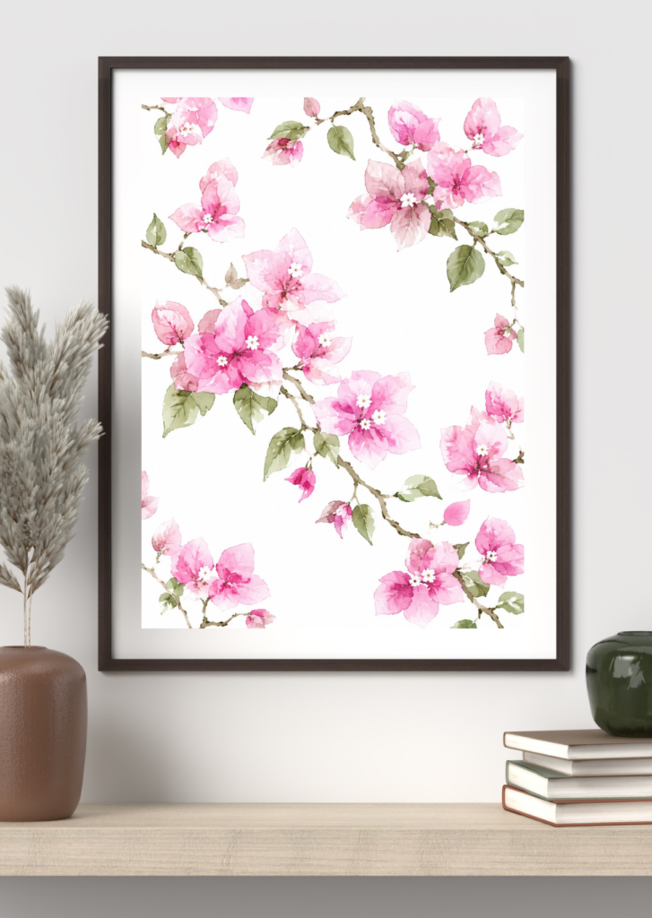 Blushing Bougainvillea