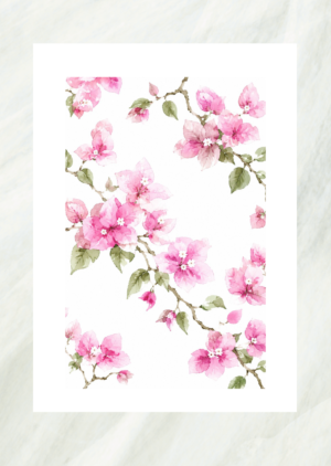 Watercolor pattern of pink bougainvillea flowers on trailing branches, unframed print