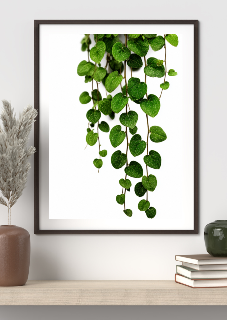 Hanging Vine