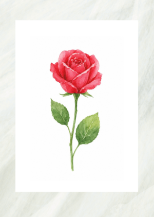Watercolor painting of a single red rose in bloom, unframed print