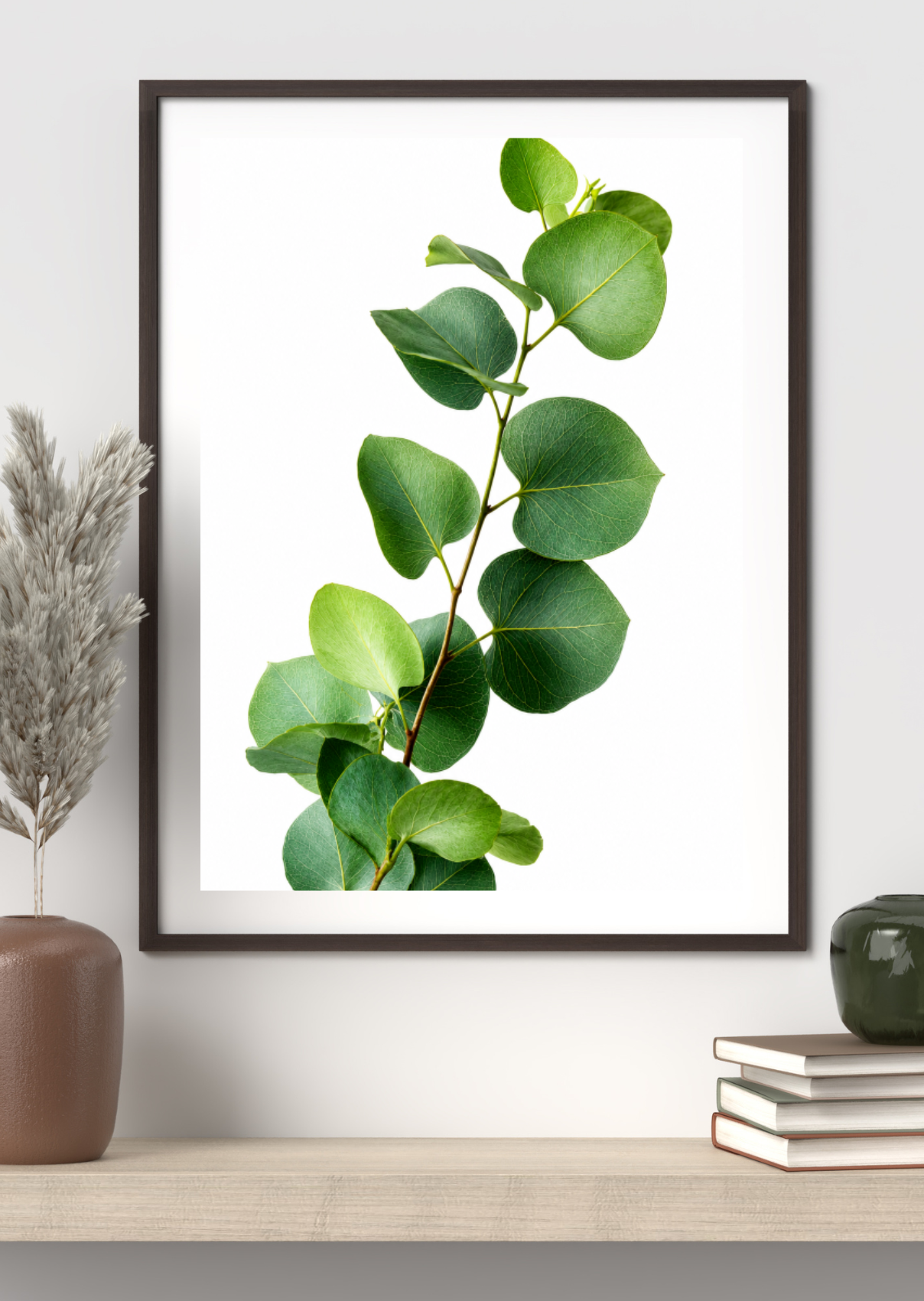 Photo of a green eucalyptus branch with round leaves, on a white background